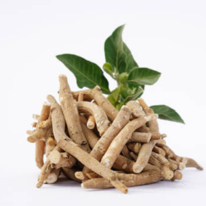 Capsules d'extrait pur de racine d'Ashwagandha biologique - Complément alimentaire - Fabricant en marque blanche - Séché - Durée de conservation de 24 mois - Product Image 3