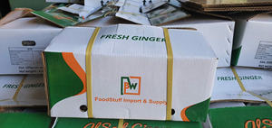 ขิงสดพืชใหม่สำหรับขายรากขิงขิงคุณภาพสูงจากสารสกัดขิงรสเผ็ดและมีกลิ่นหอม - Product Image 6