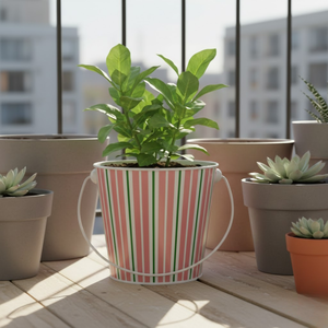 Mini pot de fleurs galvanisé durable avec poignée enduite |   Décoration de jardin moderne d'intérieur et d'extérieur, décoration de table, balcon, cadeau - Product Image 2