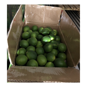 Lime fraîche propre avec la peau verte lumineuse aucune cire aucun produits chimiques délicieux et juteux très utilisé dans la boisson et le commerce de service alimentaire - Product Image 2