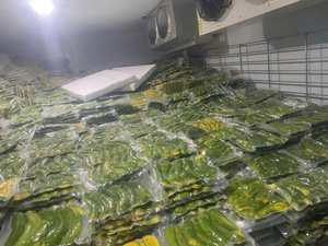 Fresh Cut Vietnam Frozen Avocado Premium Suministro de calidad a granel para batidos Guacamole Tostadas Hornear y Cremoso Delicioso Dips - Product Image 5