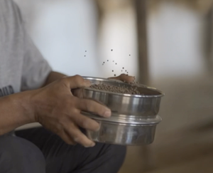 ปุ๋ยกวนอูฟอสเฟตปลดปล่อยช้า 15 - 20% P2O5 - Product Image 6