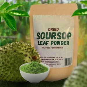 Muestra gratis de alta calidad de Vietnam 100% Pure Graviola Soursop Bark Extract Powder Wild Health Food Grade - Product Image 3