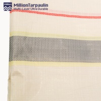 Bâche en PE vierge Million Gold Silver, imperméable et résistante aux UV, pour usage extérieur