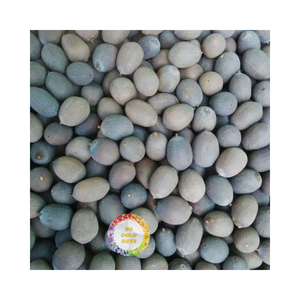 SEMILLAS DE LOTO SECAS NATURALES SECAS DE CALIDAD PREMIUM PARA COMIDA Y PRODUCCIÓN DE ALIMENTOS DE VIETNAM PROVEEDOR 99 DATOS DE ORO - Product Image 4