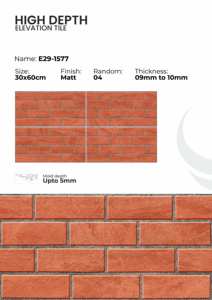 Azulejos de Porcelana para Paredes Exteriores de 300x600 mm, Fachada Comercial - Product Image 6