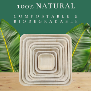 Areca ภาชนะใส่อาหารแบบใช้แล้วทิ้งทรงสี่เหลี่ยมใบปาล์มแบบย่อยสลายได้3, 4, 5, 6, 7, 8, 9 & 10นิ้ว - Product Image 2