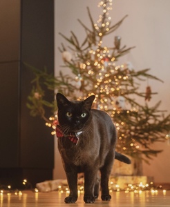 Diseños innovadores en decoraciones navideñas festivas - Product Image 4