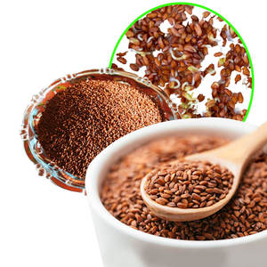 Berro | Hierba Eco Cosechada para Industrias Alimentarias Gourmet - Product Image 1