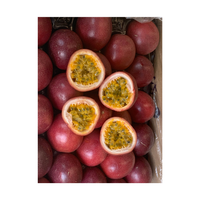 Concurrerende Prijs Passievrucht Nieuwe Seizoen Crop Verse Aangepaste Grootte Oranje Geel Groen Top Kwaliteit Bestseller Groothandel Del