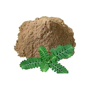 Extracto Herbal de Punica Granatum Orgánico de la Mejor Calidad en Polvo para el Brillo de la Piel, Bienestar Digestivo y Función Inmunológica - Product Image 1