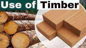 Bois de pin à vendre - Product Image 5