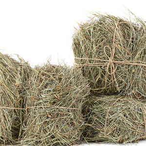 ก้อนหญ้าแห้งสำหรับลูกวัวปลาสุนัขหมูม้าอาหารสัตว์จากปากีสถาน - Product Image 4