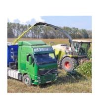 Fardos comprimidos de ensilaje de maíz, UV capa de protección, embalaje de nutrición saludable para ganado, alimentación fermentada de alta calidad - Product Image 6