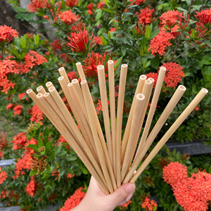 <b>Reusable</b> Bamboo Drinking <b>Straws</b> with Custom Logo - Eco-Friendly Disposable Beverage Tableware from Factory - Product Image 5