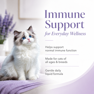 Gouttes de soutien viral pour chats sous marque privée, L-Lysine 250mg pour le système immunitaire et la santé quotidienne, supplément nutritionnel liquide pour chats - Product Image 5