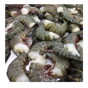 Camarones Tigre Congelados HLSO - Proveedor Mayorista de Camarones Tigre HLSO al por Mayor - Product Image 5