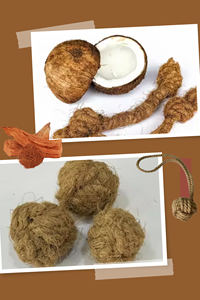 En çok satan köpek çiğnemek oyuncak hindistan cevizi topu halat dayanıklı ahşap Pet oyuncak doğal boynuz doğrudan Hoang Linh SG + 84 378 599 494 Ms Sara - Product Image 2