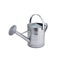 Flores de jardinería personalizadas Caño largo Hervidor de agua Galvanizado Power Coated Metal Regadera GardenPopular - Product Image 5