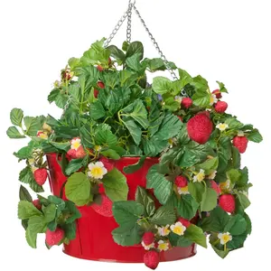 Haute vente élégante pour l'utilisation de la décoration d'hôtel à la maison en gros prix bon marché support de plante en métal suspendu pour la maison et le bureau - Product Image 5