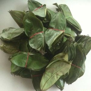 Hojas de Guanábana secas orgánicas naturales Hojas de Guanábana secas 100% Hogar natural - Product Image 6