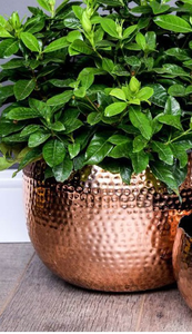 Jardinière décorative martelée pour l'extérieur finition or rose Mini support mural de haute qualité pour plantes Pot de fleur - Product Image 3