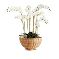 Vas Tanaman Meja Anyaman Rotan Bohemian Ramah Lingkungan Cantik Buatan Tangan, Pot Dekoratif Aksen Netral untuk Tanaman dan Bunga