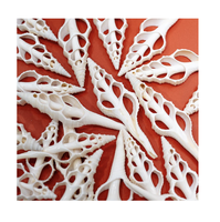 Coquillages décoratifs tranchés en feuilles pour décoration de table célébration de mariage ambiance de plage et projets d'artisanat