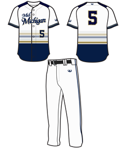 Último Modelo de Camiseta de Béisbol de Práctica de Softbol Personalizada con Sublimación de Enemigo del Estado, Estilo Cuello Redondo en Tela Transpirable Cool Max - Product Image 3