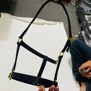 Cabestro Profesional para Caballo con Tamaño Ajustable |   Cabestro de Alta Calidad, Estable y para Entrenamiento - Product Image 4