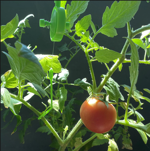 Crochets réglables pour plantes Yo Yo Plant <span class=keywords><strong>Yoyo</strong></span> Grow Hanger avec bouchon - Product Image 4