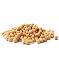 Graines de soja jaunes biologiques de qualité supérieure, non-OGM et naturelles, séchées
