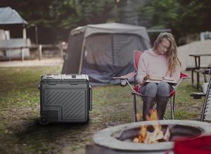 Nevera para coche con diseño de León verde, - Product Image 2