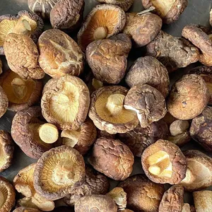 Dried Shiitake Mushrooms grown in Vietnam with the cheapest price Mary