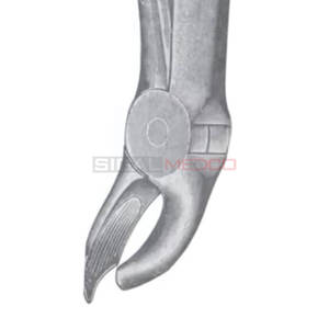 Fig. 28 Fórceps de extracción de dientes de diferentes tamaños Instrumentos médicos dentales Precio al por mayor Proveedor a granel - Product Image 4