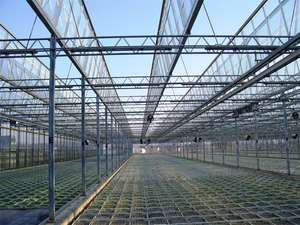 แผงกระจกเรือนกระจกสำหรับการเกษตรเชิงพาณิชย์แบบหลายช่วงสำหรับขาย - Product Image 4