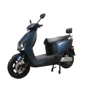 2000W çelik çerçeve elektrikli Scooter pil çıkarılabilir kıyıcı çerçeve yağ lastik elektrikli motosiklet Scooter Citycoco şehir bisikleti