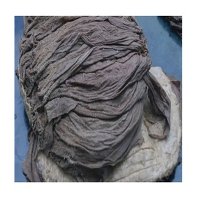 Premium Quality Dry Salted Beef <b>Omasum</b> for <b>Export</b> | Dried Frozen & Fresh <b>Omasum</b> | High Protein Beef Tripe Supplier - Product Image 1