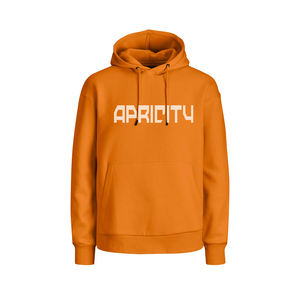 Sweats à capuche en molleton pour enfants avec impression personnalisée | Sweat-shirts en mélange de coton pour garçons et filles | OEM/ODM disponible - Product Image 1