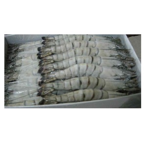Camarones Tigre Negros Frescos - Origen Sostenible y Responsable - Product Image 4
