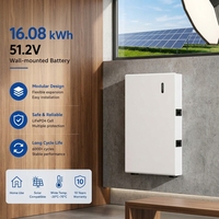 Système de stockage d'énergie à batterie LiFePO4 51,2V 100Ah 200Ah 314Ah 5kWh 10kWh 16kWh Grade A avec BMS intelligent pour kit solaire domestique hors réseau