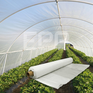 Film de protection transparent anti UV résistant de qualité alimentaire pour plantes agricoles Film de couverture renforcé en PE - Product Image 4
