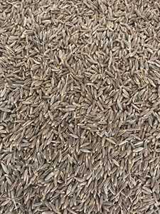 Graines de cumin 100% naturelles à longue durée de conservation, format gros, emballage personnalisé pour les mélanges Tadka et la production alimentaire en vrac, prix de gros - Product Image 5