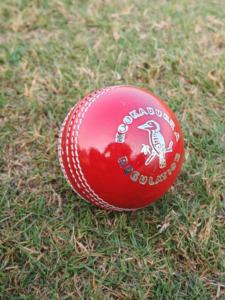 Nuevo cuero superior de alta calidad Kookaburra 156G máquina Stitch Cricket Balls - Product Image 2