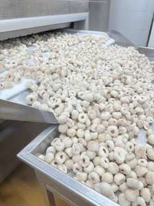 Lychees surgelés IQF, approvisionnement direct usine Vietnam, goût frais, longue durée de conservation, prêts à être expédiés - Product Image 3