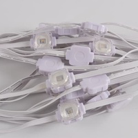 Lumière ponctuelle à pixels RVB d'extérieur, lumières de Noël LED de 25 mm pour les gouttières, indice de protection IP67 pour les applications paysagères, installation permanente