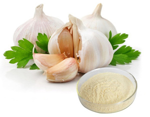 Poudre d'ail déshydratée Légumes secs à prix réduit Vente en gros directe d'usine sans ajout Bon prix de haute qualité - Product Image 4