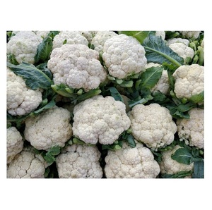 Choux-fleurs frais de qualité supérieure à vendre au meilleur prix - Product Image 3