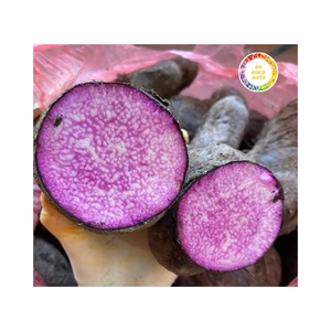 Trozo entero de ñame morado congelado orgánico listo para exportar desde Vietnam para comercio vegetariano - Product Image 1