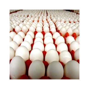Giá rẻ trang trại tươi trứng gà vỏ trắng trứng gà bảng trứng Hữu Cơ tươi gà bảng - Product Image 1
